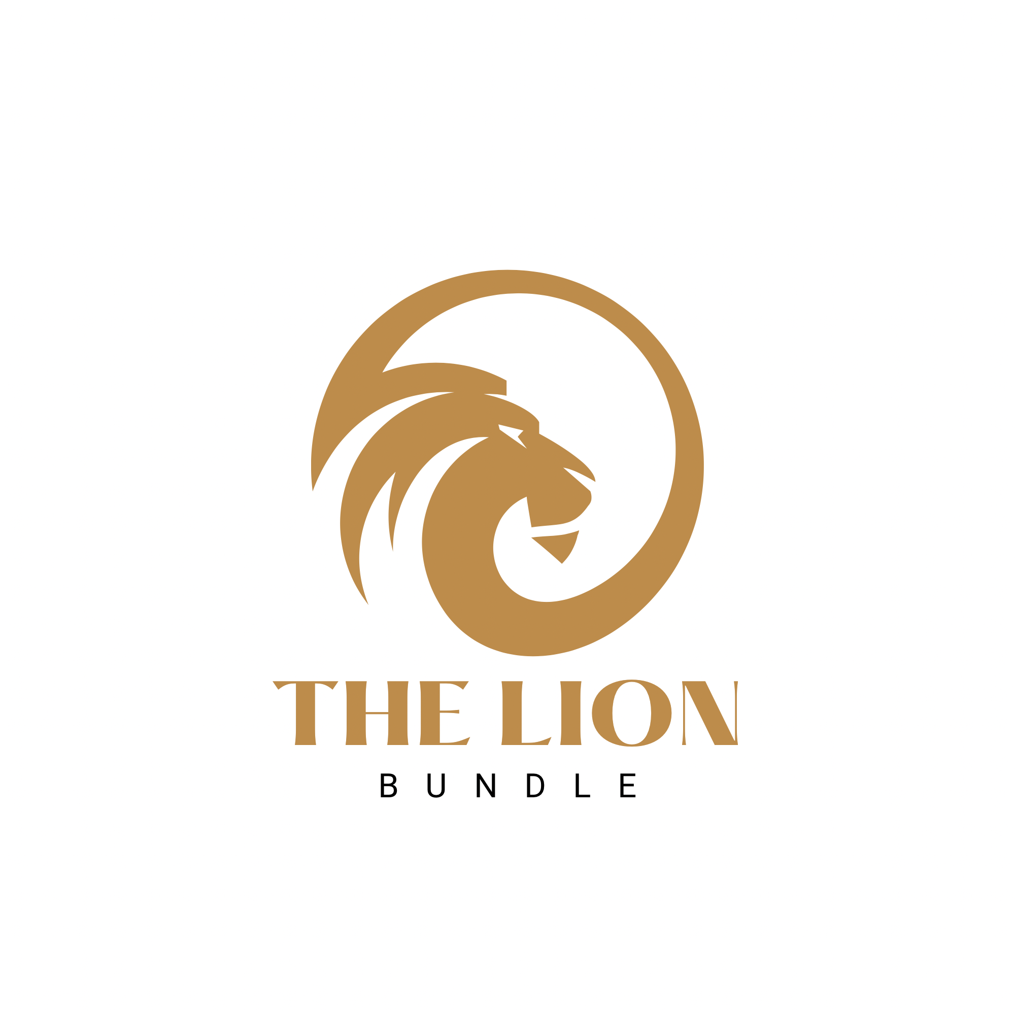Lions bundle